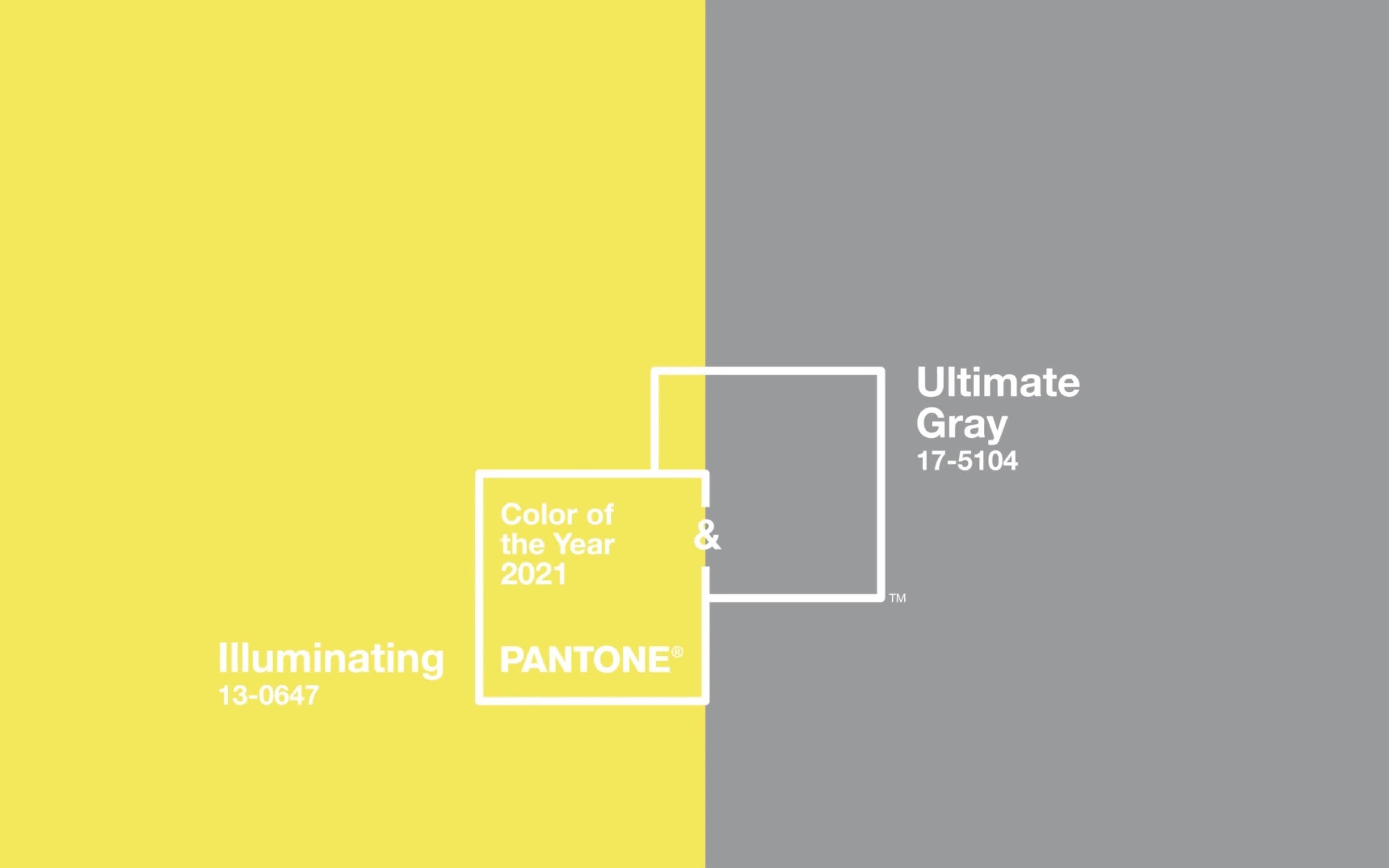 Pantone Color of the Year 2021 彩通 2021年度代表色---极致灰+靓丽黄