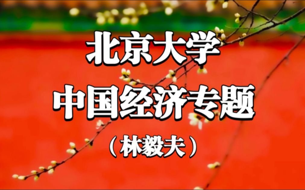 【中国经济专题】北京大学 林毅夫(全12讲)哔哩哔哩bilibili