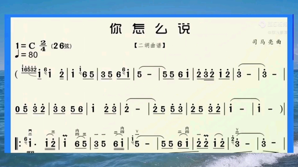 二胡独奏曲:《你怎么说》