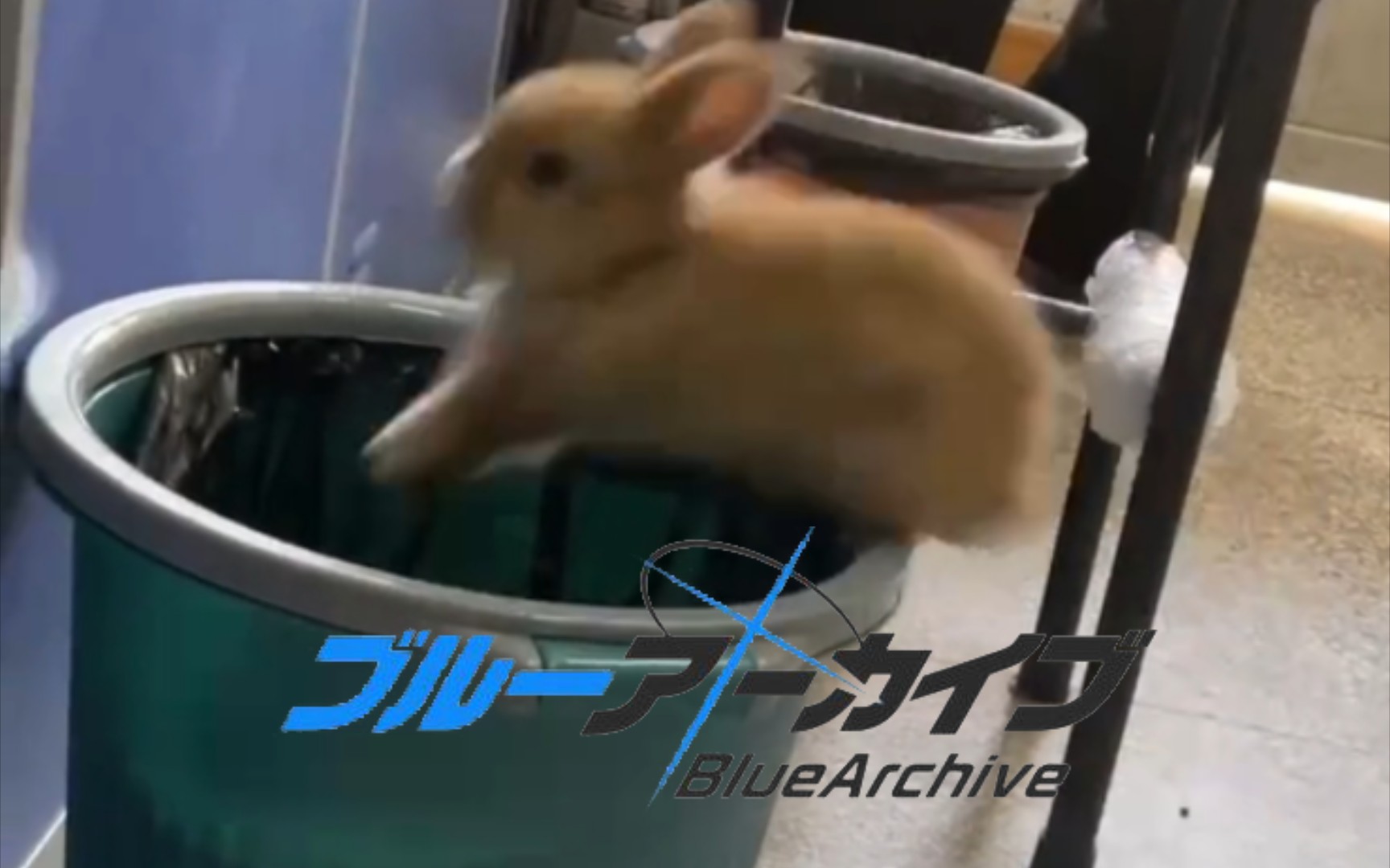 RABBIT DANCE.mp3手机游戏热门视频