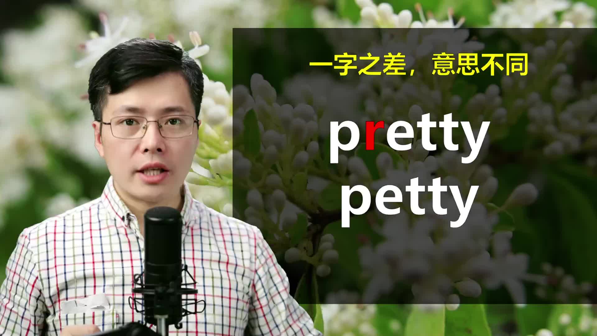 英语单词pretty和petty一字之差?巧学英语句子和语法哔哩哔哩bilibili