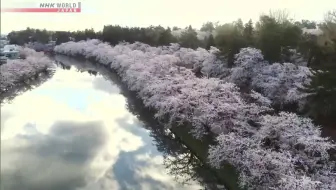 纪录片.NHK.乡情记事：弘前正值春光烂漫时.2021[片头]