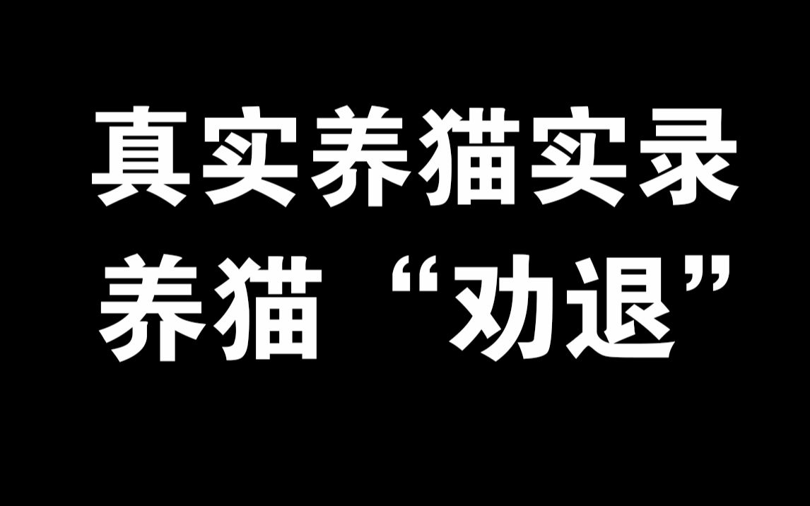 这是一个养猫劝退视频.看完心哇凉哇凉哔哩哔哩bilibili