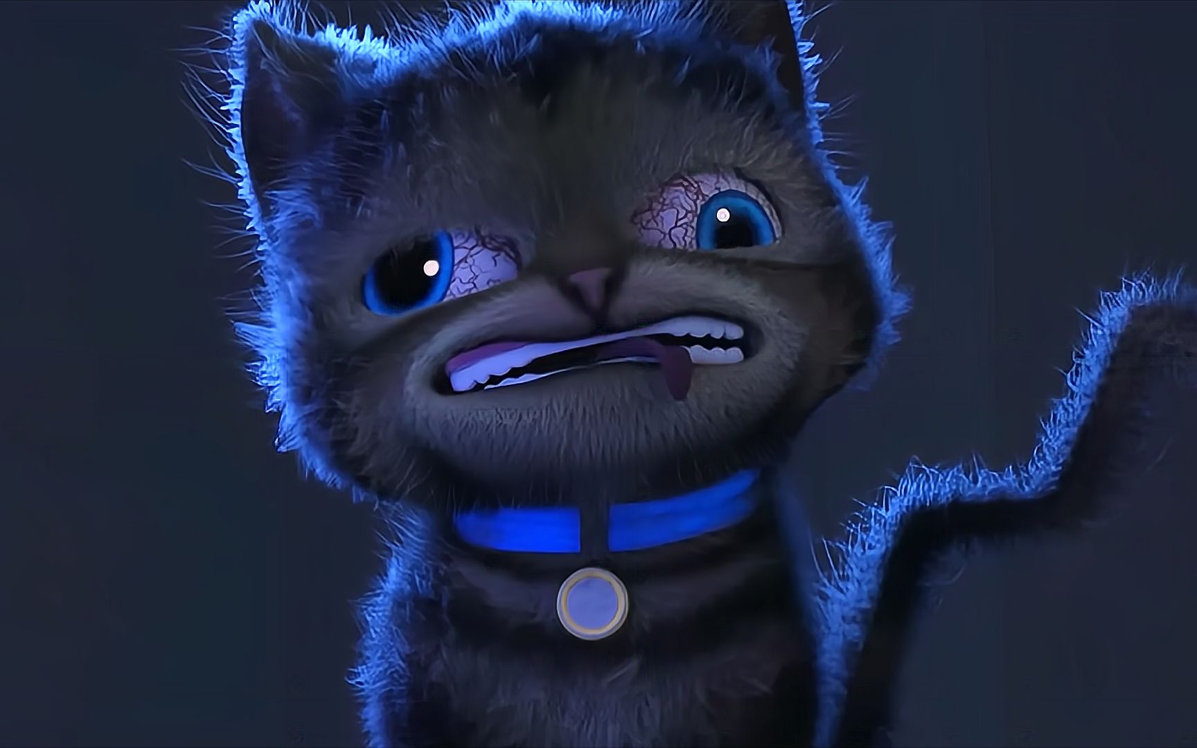 小猫咪喝了不明液体,就开始全身变异,成了丧尸猫!