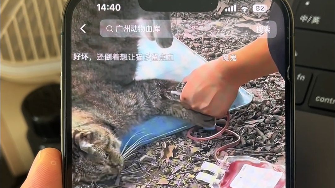 地狱空荡荡，恶魔在人间