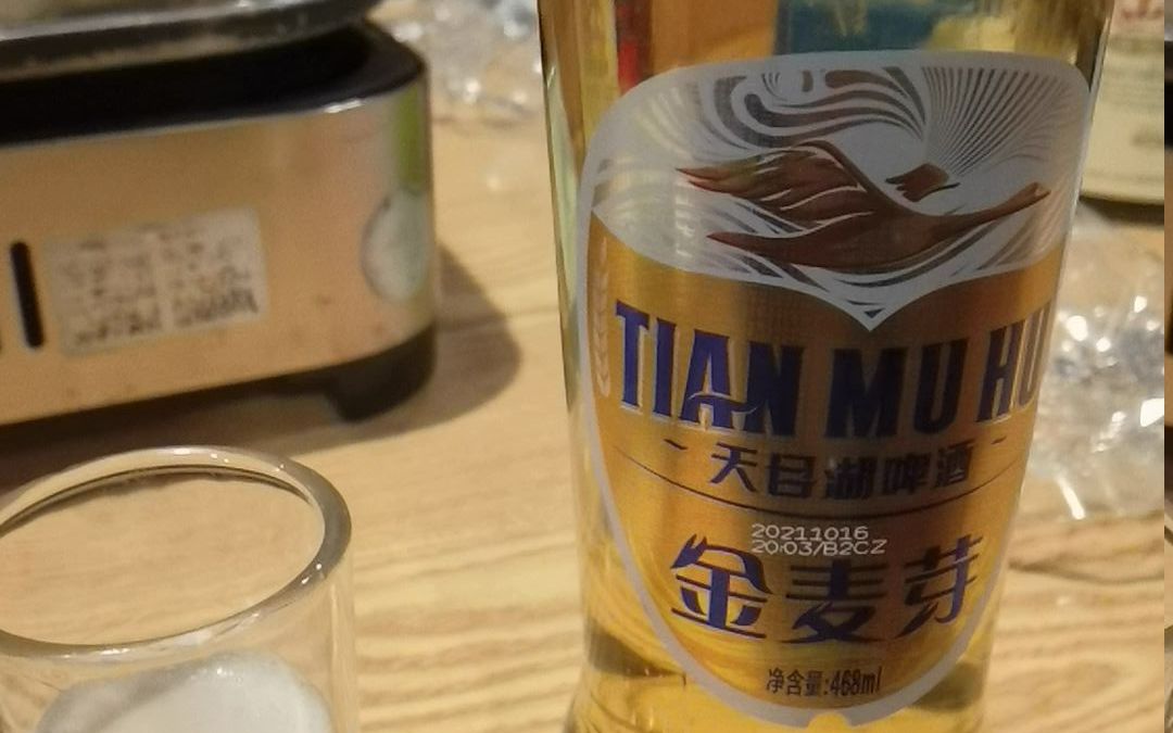酒款记录36:天目湖 金麦芽_哔哩哔哩_bilibili