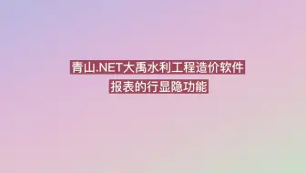 青山.NET大禹水利工程造价软件视频教程 报表行显隐功能