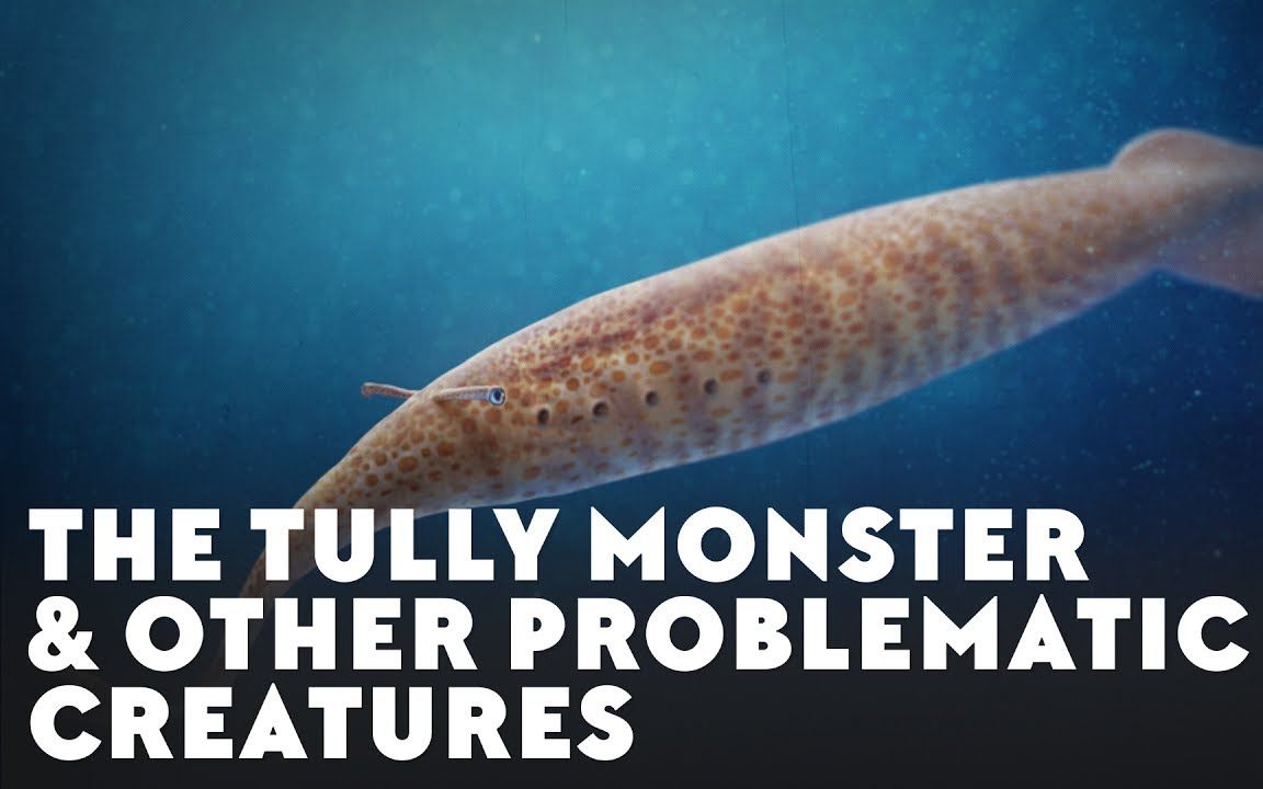 【youtube】塔利怪物_哔哩哔哩 (゜-゜)つロ 干杯~-bilibili