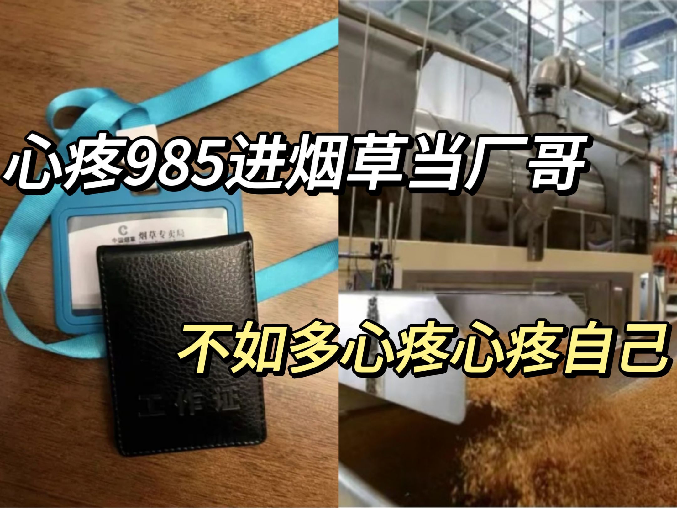 本来心疼985应届生进烟厂,但没想到人家公积金都比别人工资高,没想到可以挣那么多,怪不得烟草不好进哔哩哔哩bilibili