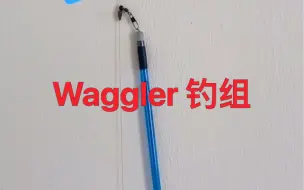 下载视频: Waggler 钓组大概这样配置