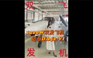 Download Video: 双发私人飞机来了，钻石DA42-VI