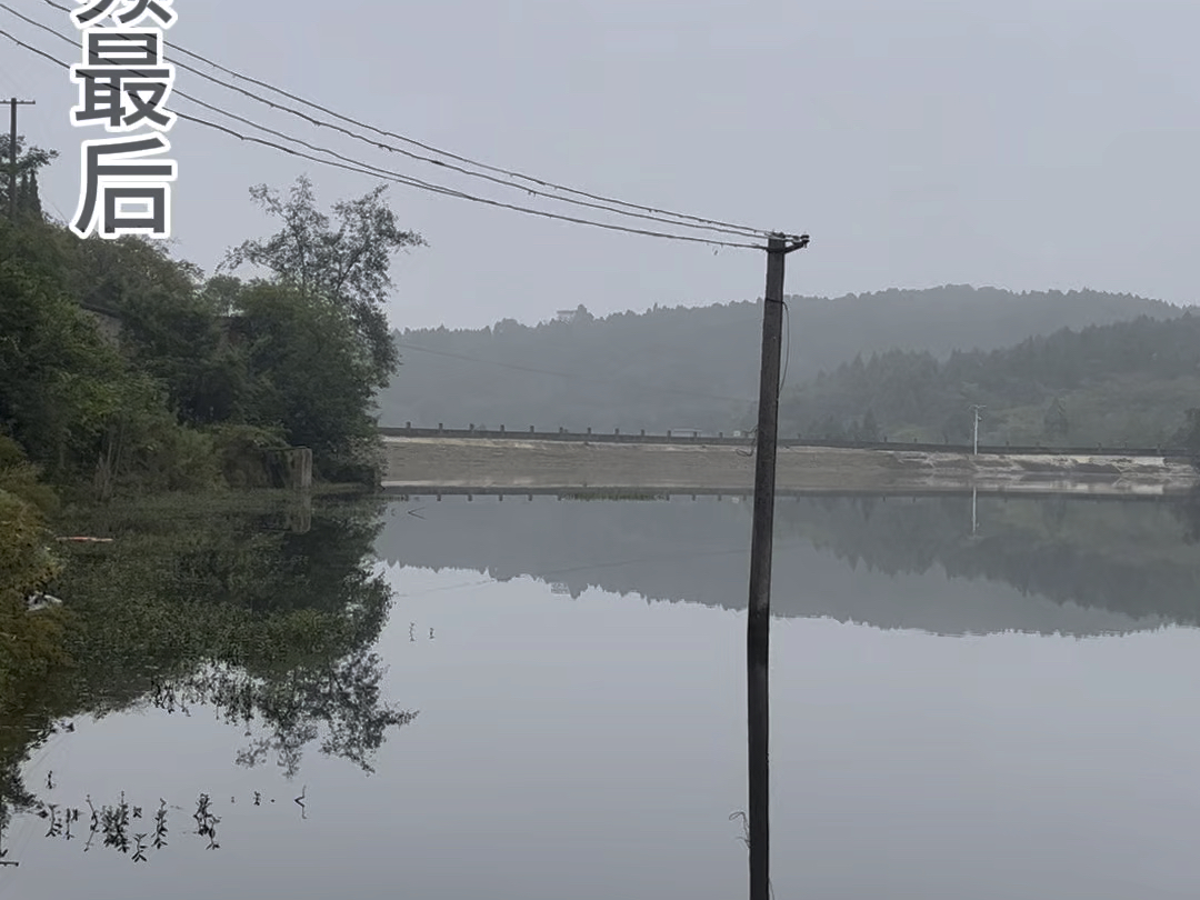 高山水库承包到期 可以免费钓鱼了哔哩哔哩bilibili