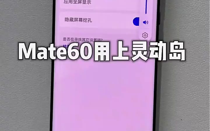 mate60用上灵动岛,哔哩哔哩bilibili