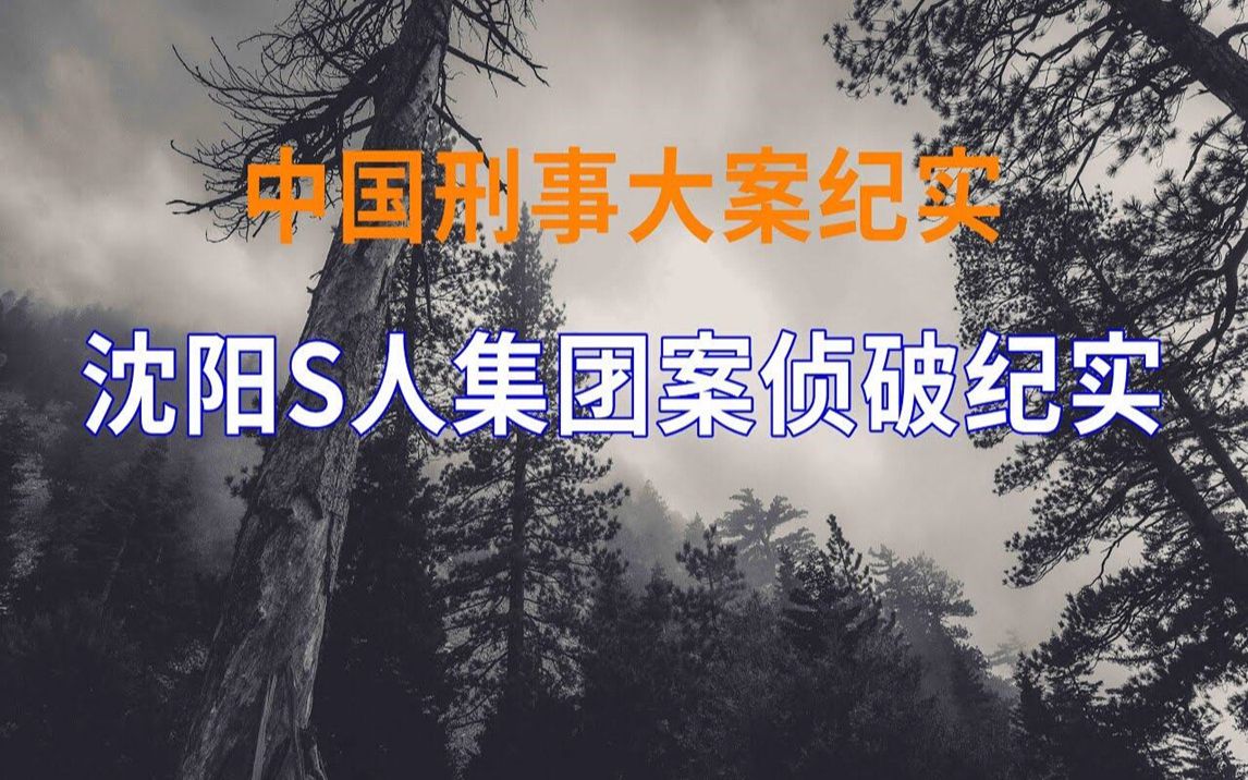 [图]沈阳S人集团侦破纪实