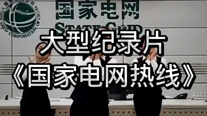 大型纪录片《国家电网热线》原来国家电网的电话才是全网效率最高的