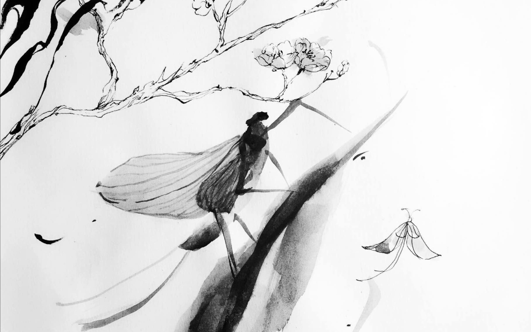 蜉蝣fu you - yangfan xu ( 2017 choral chameleon )