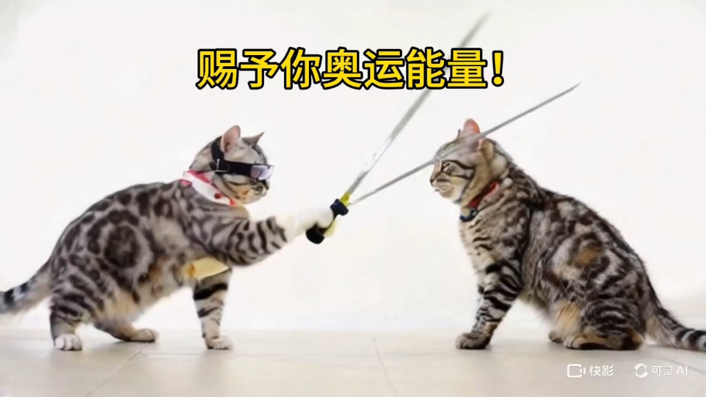 猫咪迎奥运