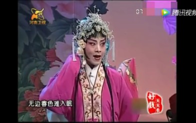 田敏美人  豫剧《梅花奇缘》