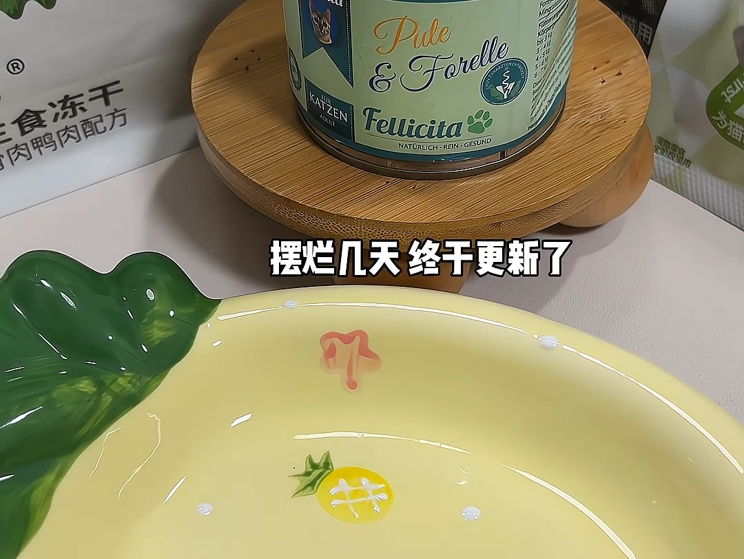 沉浸式三个月幼猫一顿伙食|这顿叫绿的发慌,臭的想鼠哔哩哔哩bilibili