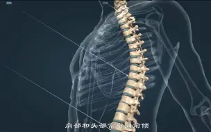 Download Video: 【医学动画】脊柱侧弯、脊柱前凸的危害及预防