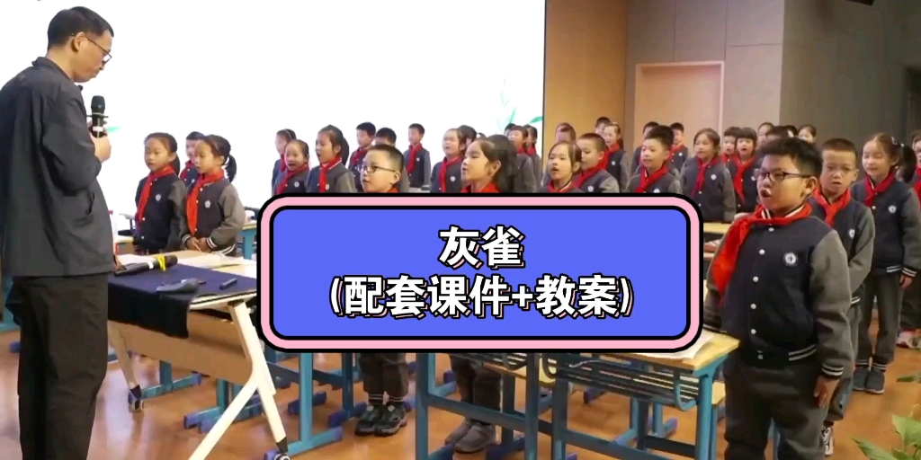 小学语文公开课《灰雀》,新课标示范课,特级教师课堂实录.哔哩哔哩bilibili