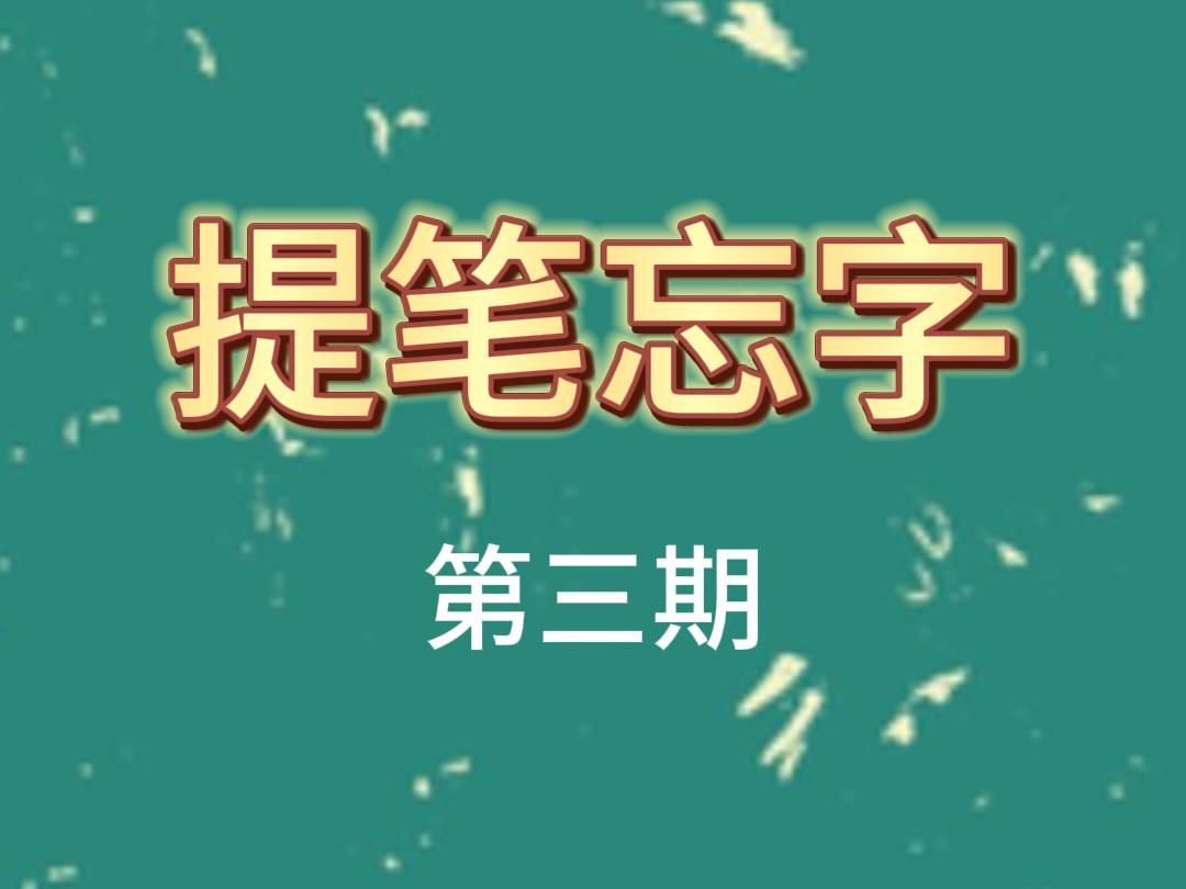 今年最火的网红动物,你知道它的名字吗?哔哩哔哩bilibili