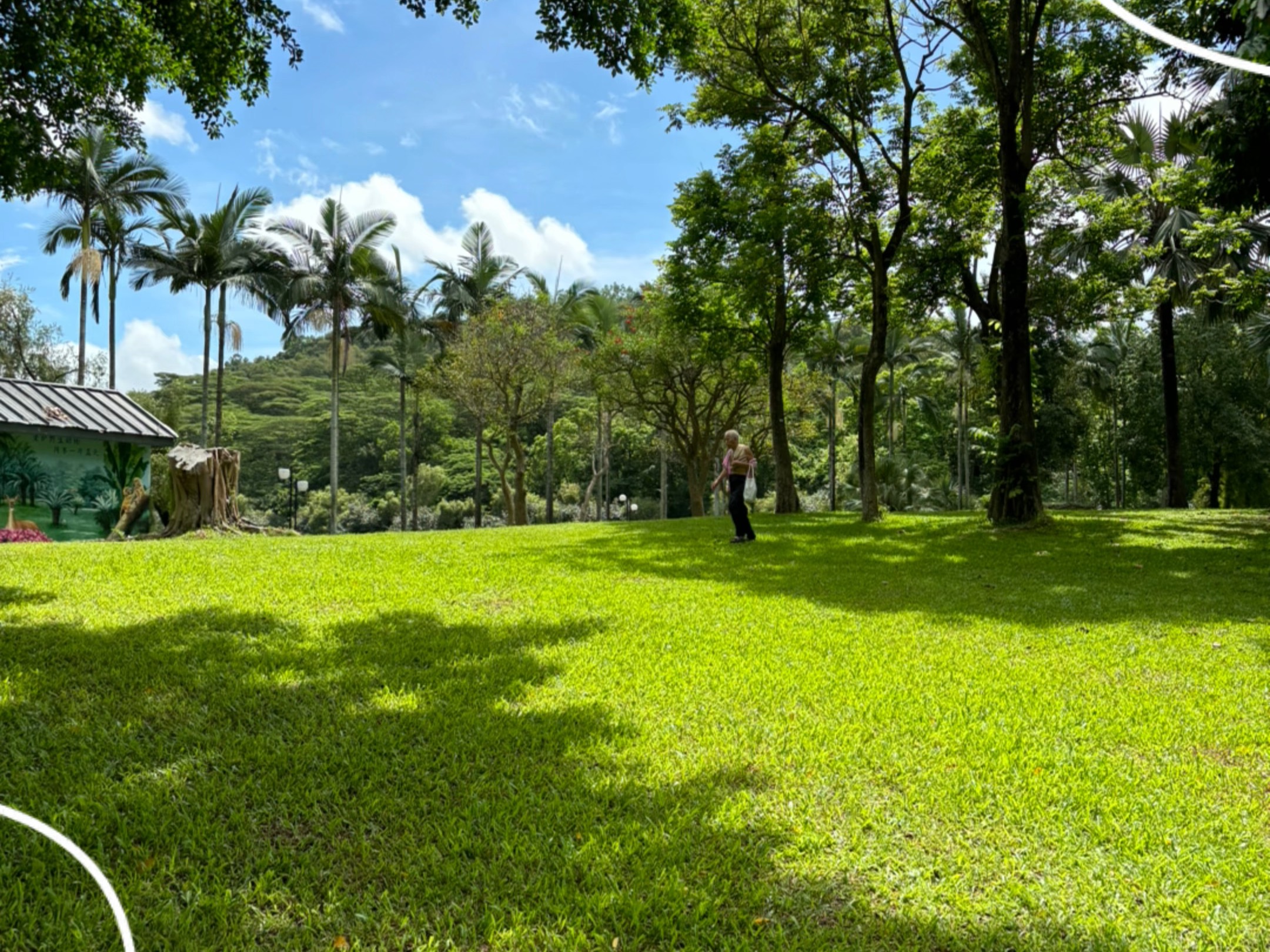 探索莲花山公园,每一步都是生态与艺术的完美交融.