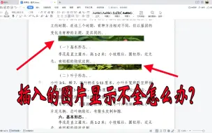 WPS文档插入图片显示不全，只显示底部很窄的一块怎么办？