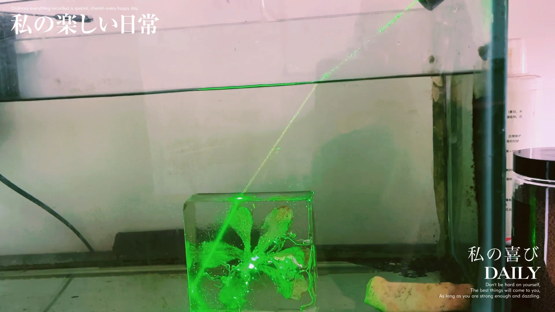 光的折射现象,如你所见