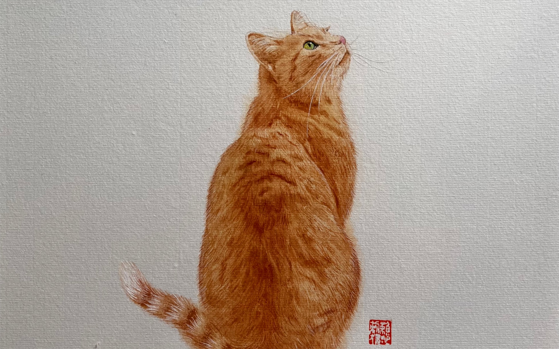 画只橘猫 国画猫咪的画法