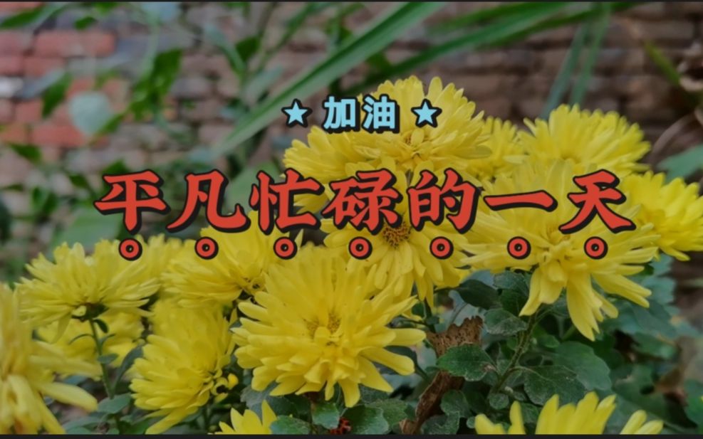 平凡而普通的一天,乡镇工作忙碌而又充实,忙不完的活