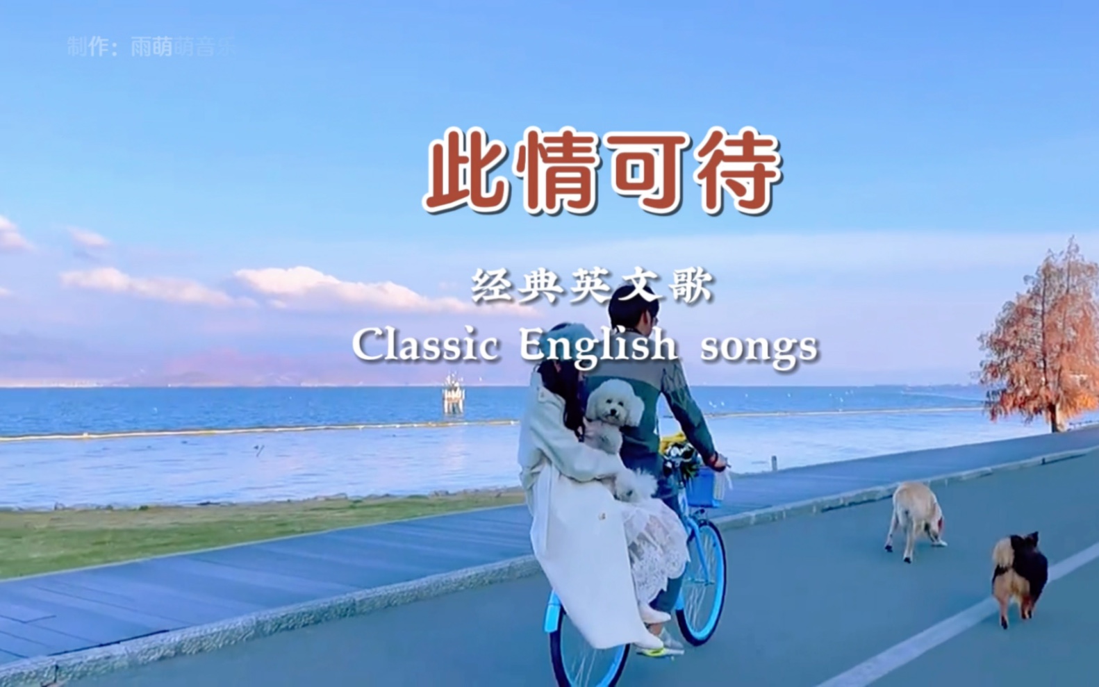 此情可待|永远的经典神曲