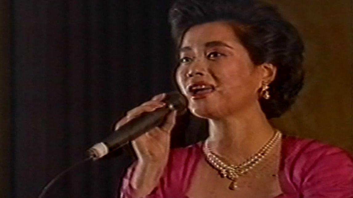 毛阿敏-篱笆墙的影子（1989年）