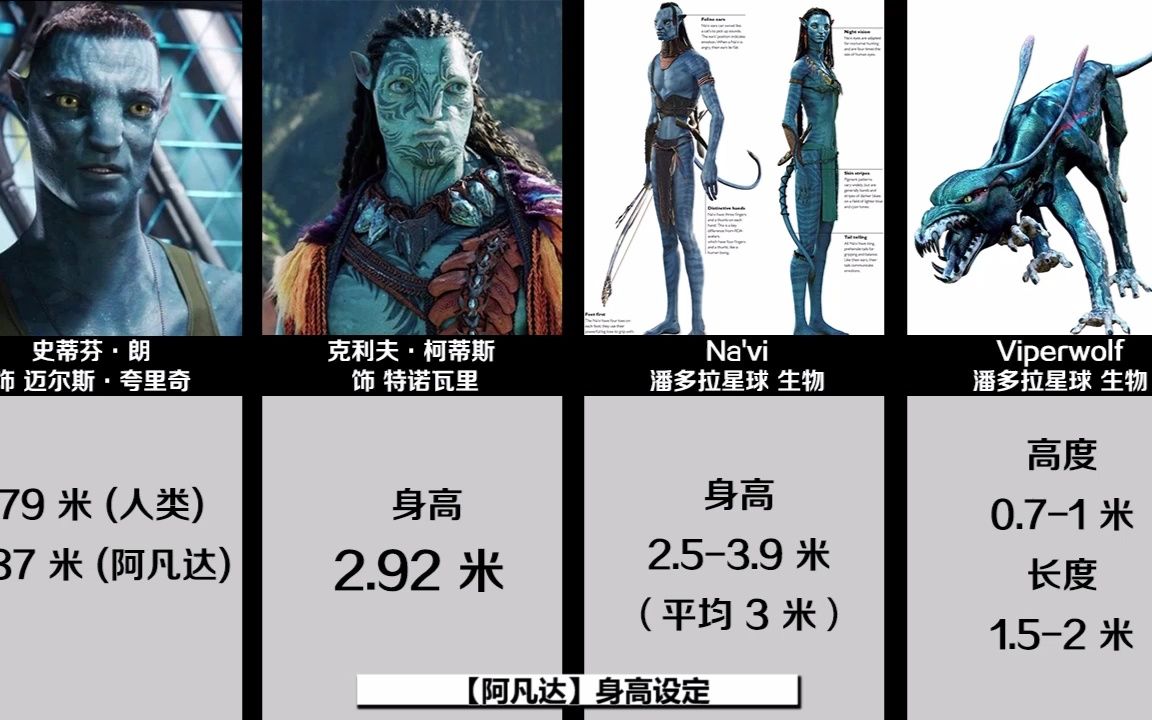 【阿凡达】身高设定