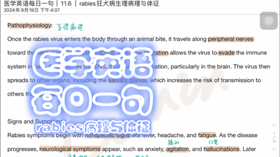 医学英语每日一句|11.6|rabies病理与体征哔哩哔哩bilibili