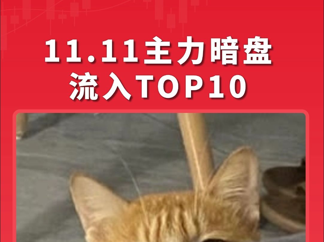 盘点11月11日主力暗盘流出TOP10哔哩哔哩bilibili