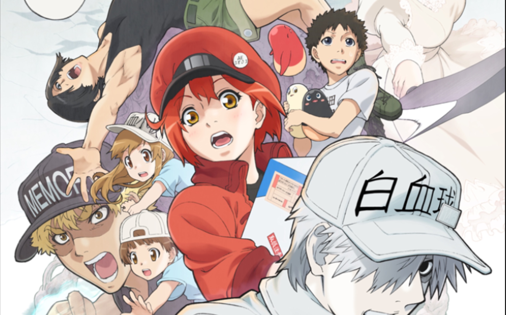 活动作品工作细胞细胞大作战英文介绍与相关知识点讲解下篇