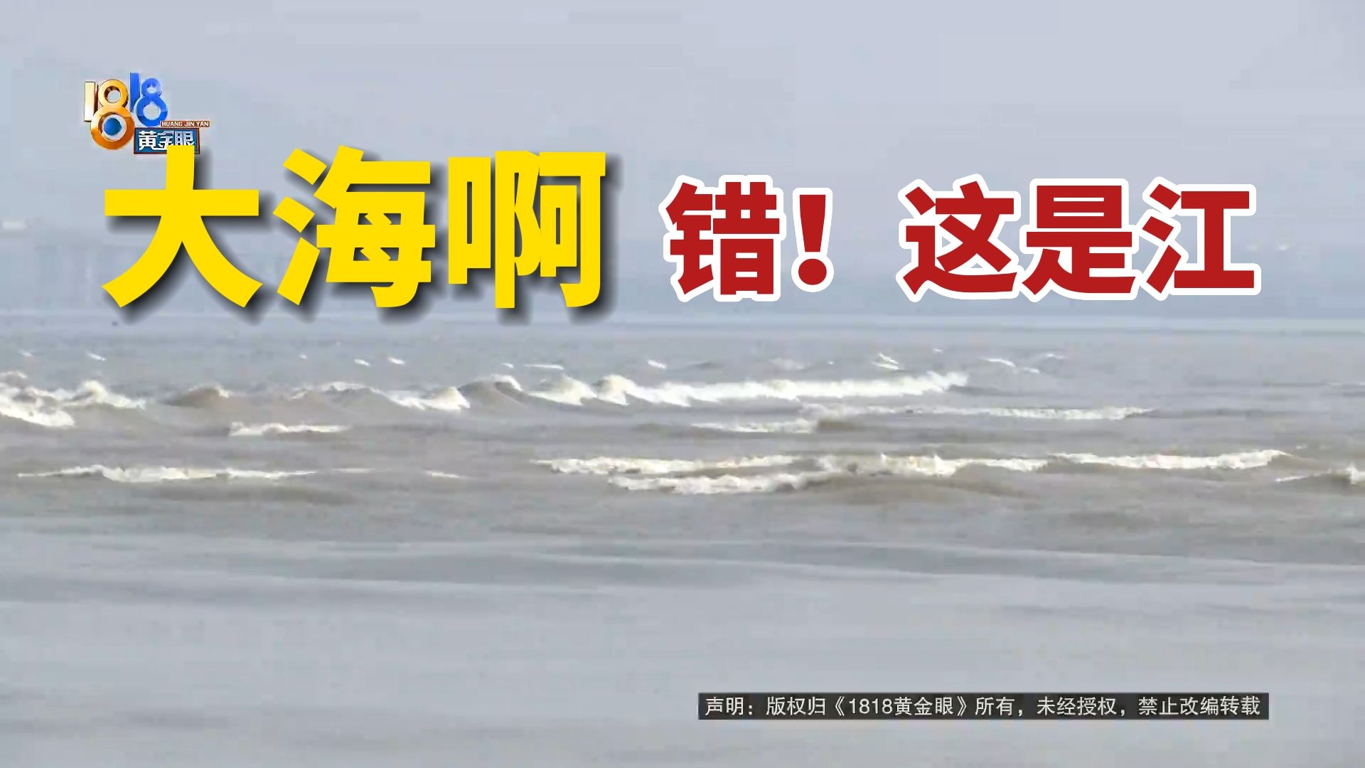 【1818黄金眼】小学生为验证课文内容特来观潮 当场被震撼!哔哩哔哩bilibili