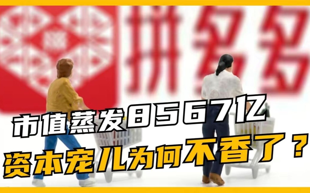 拼多多缩水66%,市值蒸发8567亿,昔日“资本宠儿”为何不香了?哔哩哔哩bilibili