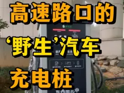 Télécharger la video: 野生桩真的不行吗?