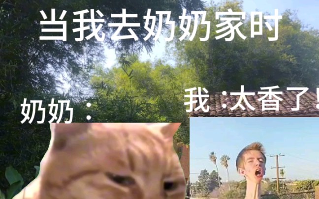 当我去奶奶家哔哩哔哩bilibili