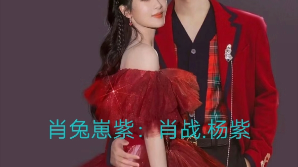 男明星:肖战.女明星:杨紫.肖兔崽紫:肖战.杨紫.余生夫妇:肖战.杨紫.