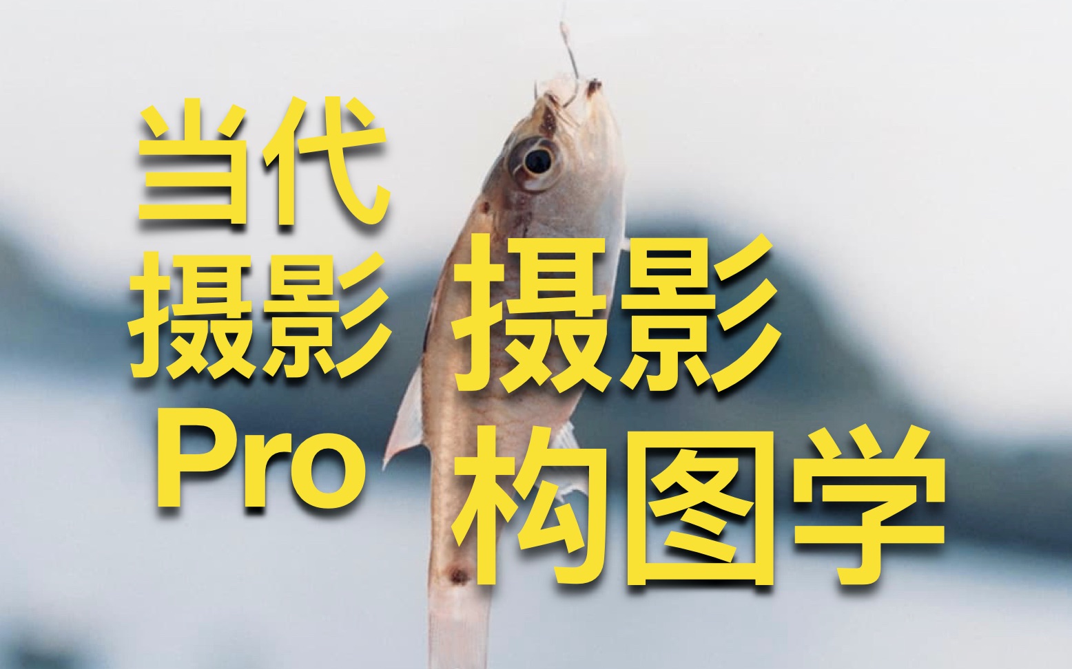 [图]「当代摄影Pro」看一本顶一万本，刷新摄影构图认知的绝版神书...