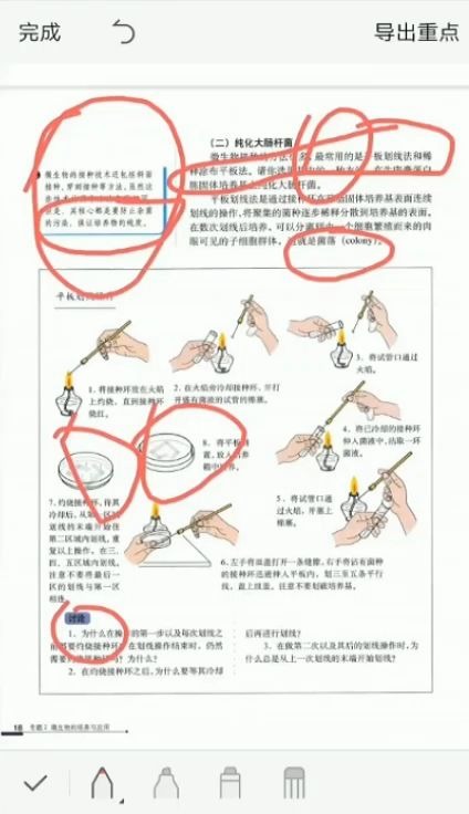 SDFZ.2020.02.11生物 冯利霞02哔哩哔哩bilibili