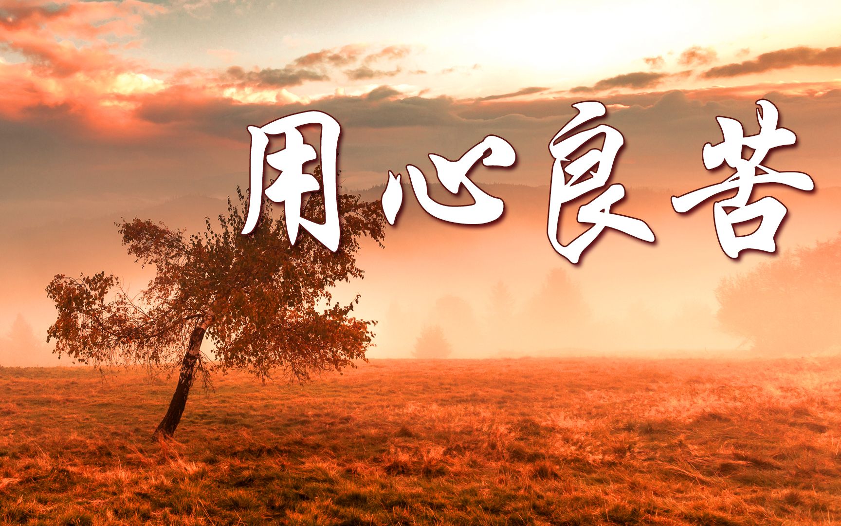 伤感情歌《用心良苦》,萨克斯演奏悠扬动听!_哔哩哔哩_bilibili