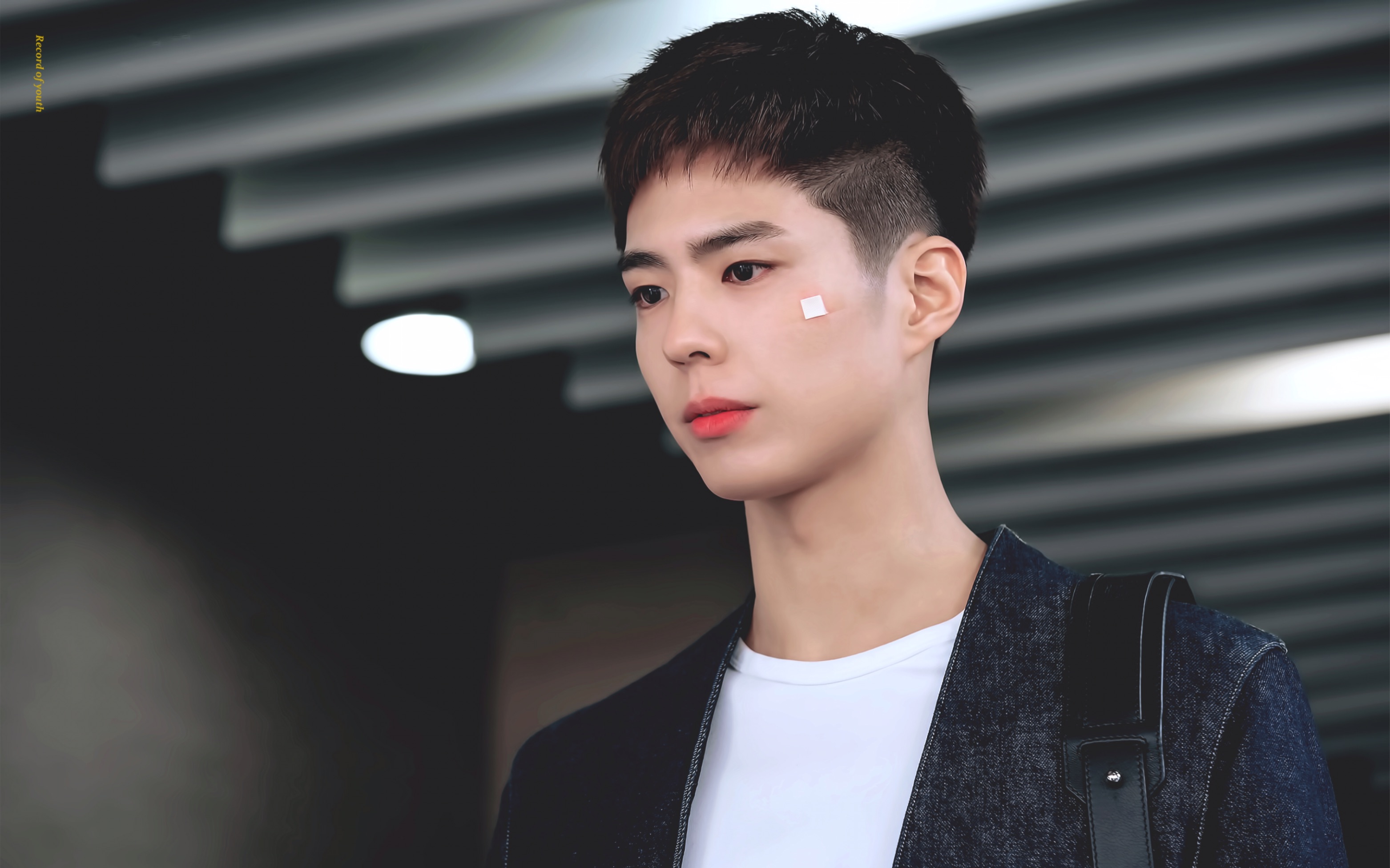 200805 《青春记录》第四版预告(中字) 朴宝剑 朴素丹_哔哩哔哩