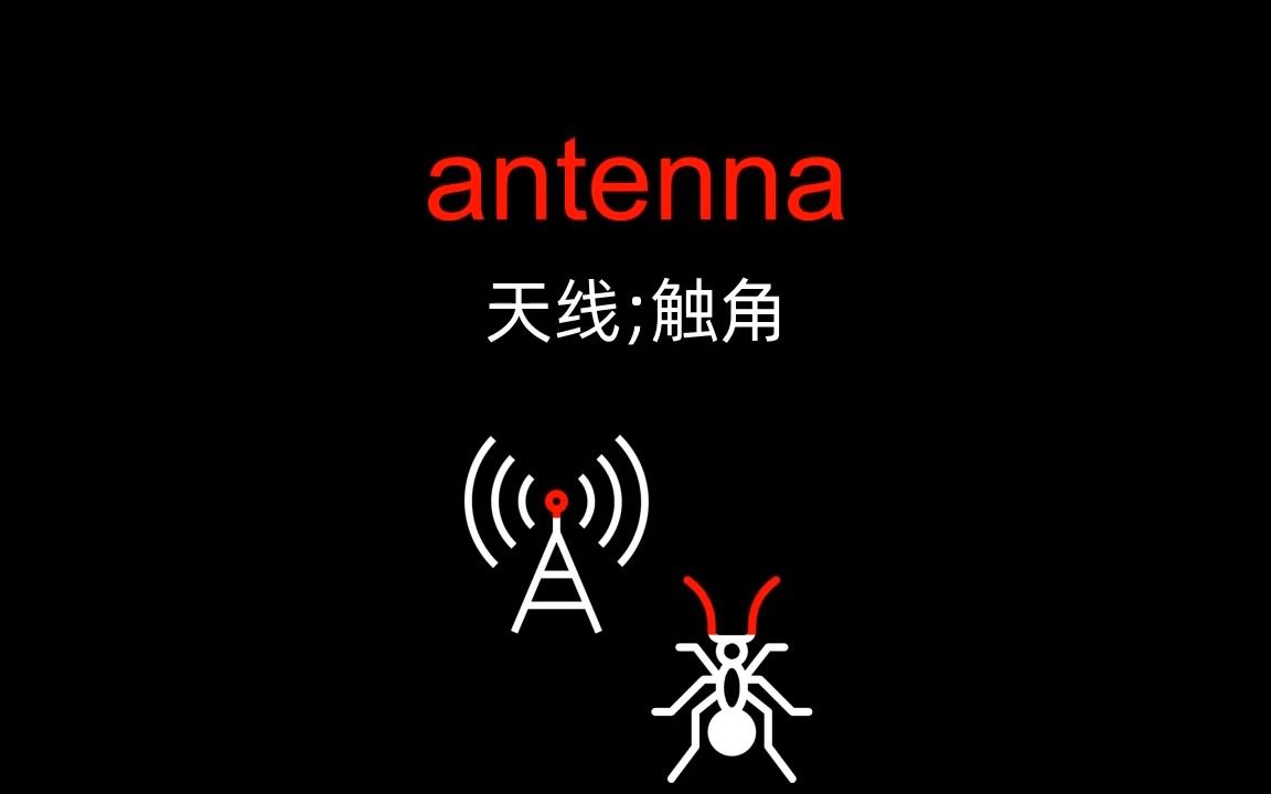 antenna:蚂蚁ant 触角一动说"enna嗯呐"「考研英语单词」