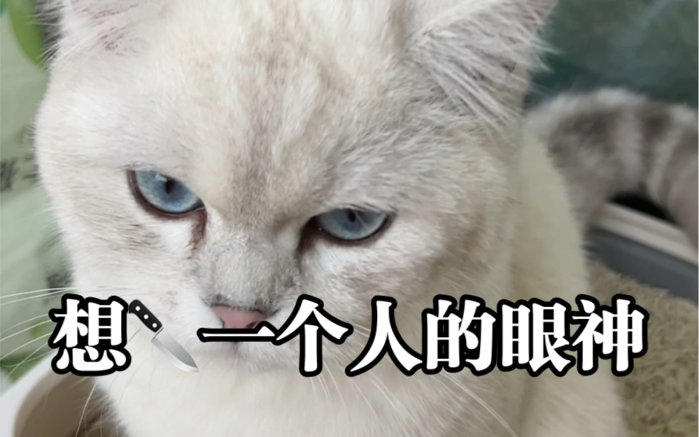 想刀一个人的眼神藏不住