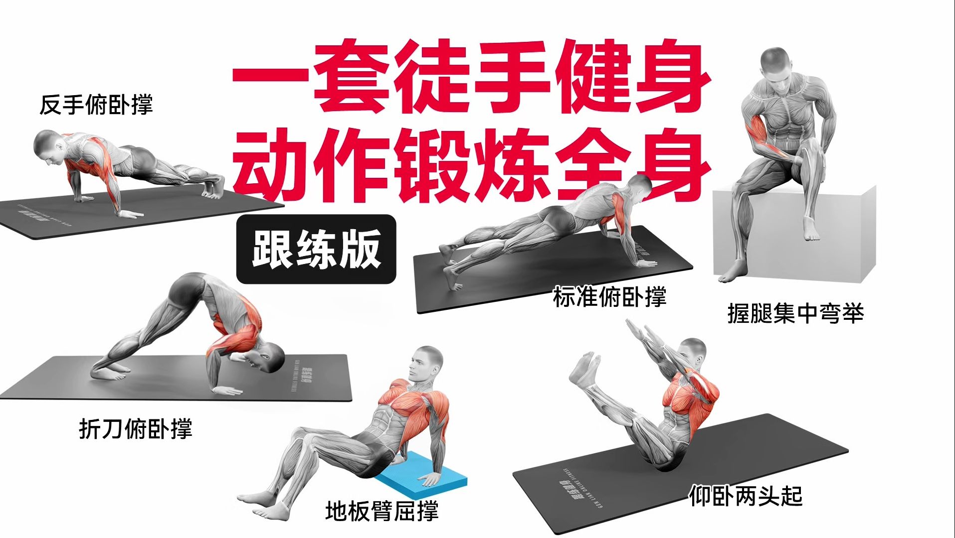 【跟练版】一套徒手健身动作锻炼全身,包含胸,肩,臂,腿,腹,背训练部位