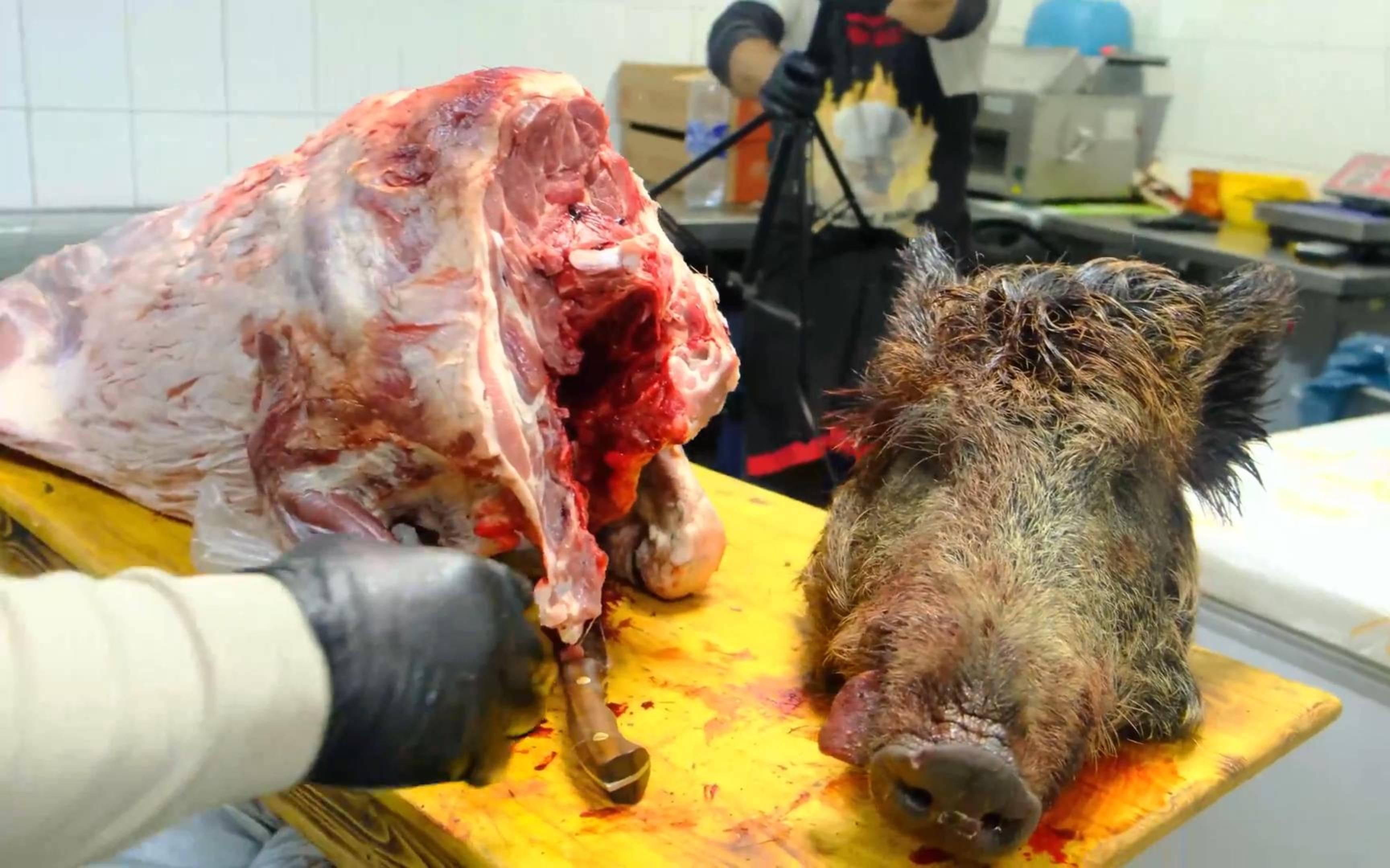 俄罗斯大叔年夜饭 炭烤野猪排 能香一个跟头